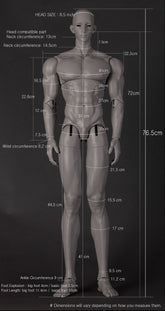 Do Uihyeok Awake with RS76 Body bundle (BJD doll) : Instock - Anubis Doll Café